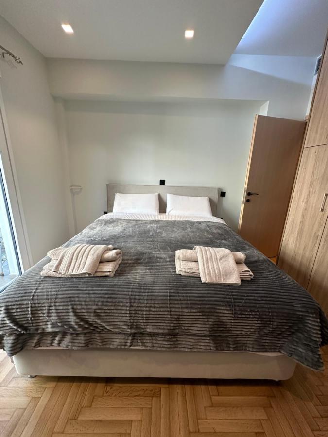 Vasilis Luxury Apartment Athens